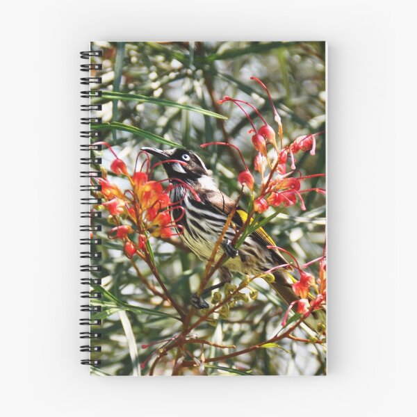 Item preview, Honey Eater, NSW, Australia designed and sold by Josette Halls.