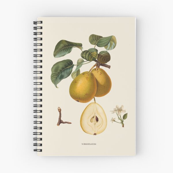 Item preview, Pear Antique Botanical Illustration designed and sold by Antiquated Art.