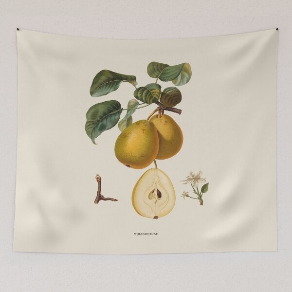 Item preview, Pear Antique Botanical Illustration designed and sold by Antiquated Art.
