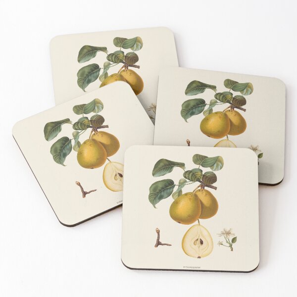 Item preview, Pear Antique Botanical Illustration designed and sold by Antiquated Art.