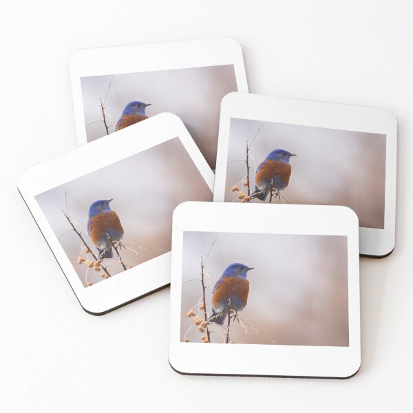 Artikelvorschau, Western Bluebird entworfen und verkauft von Jaime Miller.