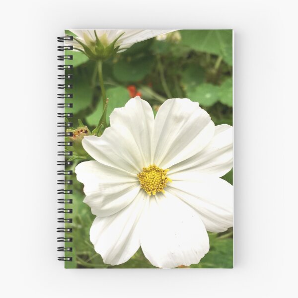 Item preview, White flower designed and sold by Jenie Yolland.