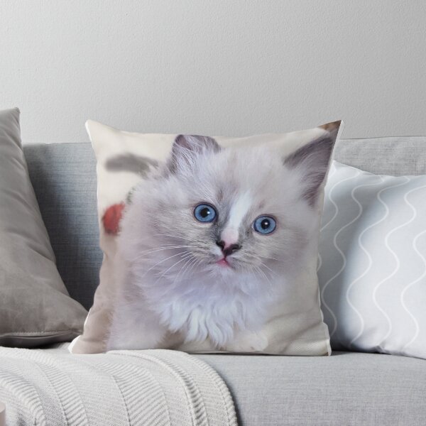 Item preview, Copy of Ragdoll kitten designed and sold by Fluffycat2020.
