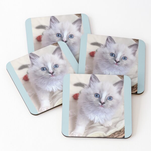 Item preview, Copy of Ragdoll kitten designed and sold by Fluffycat2020.