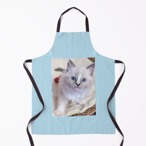 Item preview, Copy of Ragdoll kitten designed and sold by Fluffycat2020.