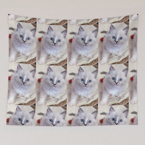 Item preview, Copy of Ragdoll kitten designed and sold by Fluffycat2020.