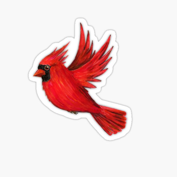 60 Cardinal Tattoo Designs For Men  Bird Ink Ideas