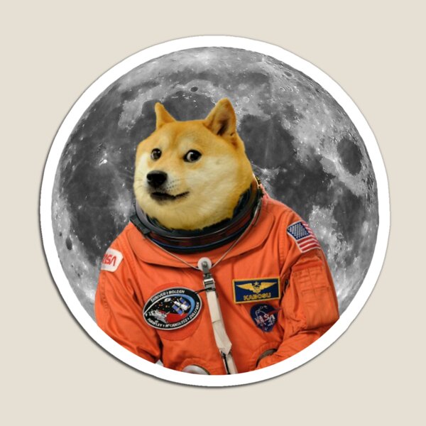 Dogecoin Magnet