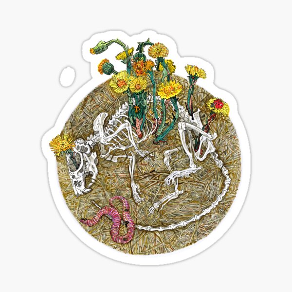 Circle of life. Sticker