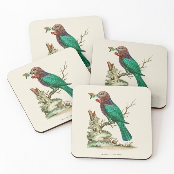 Item preview, African Brown-Headed Parrot Antique Naturalist Illustration designed and sold by Antiquated Art.