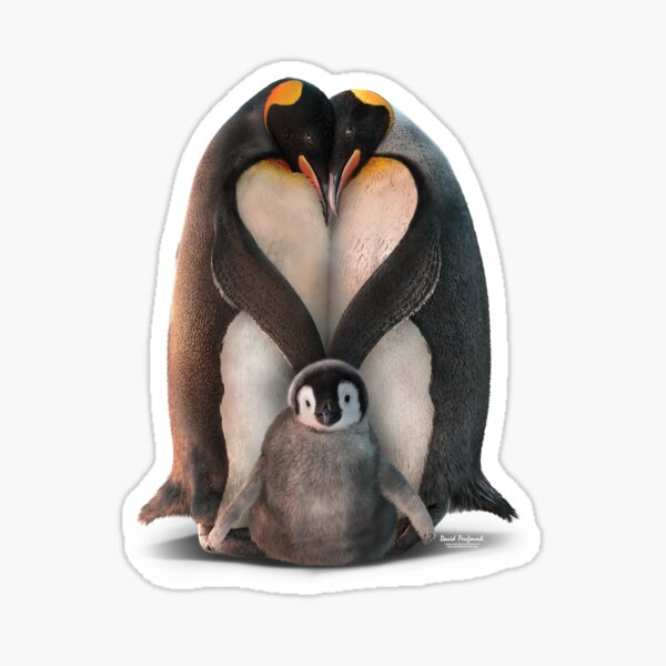Item preview, Penguin Heart designed and sold by DavidPenfound.