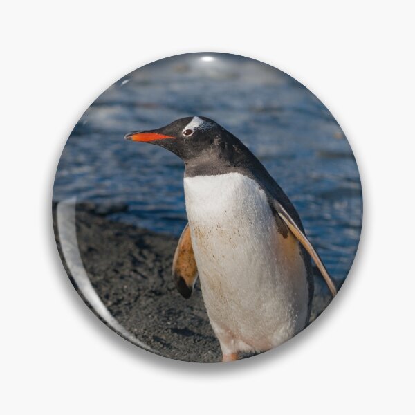 Item preview, I am Gentoo  designed and sold by Mark Prior.
