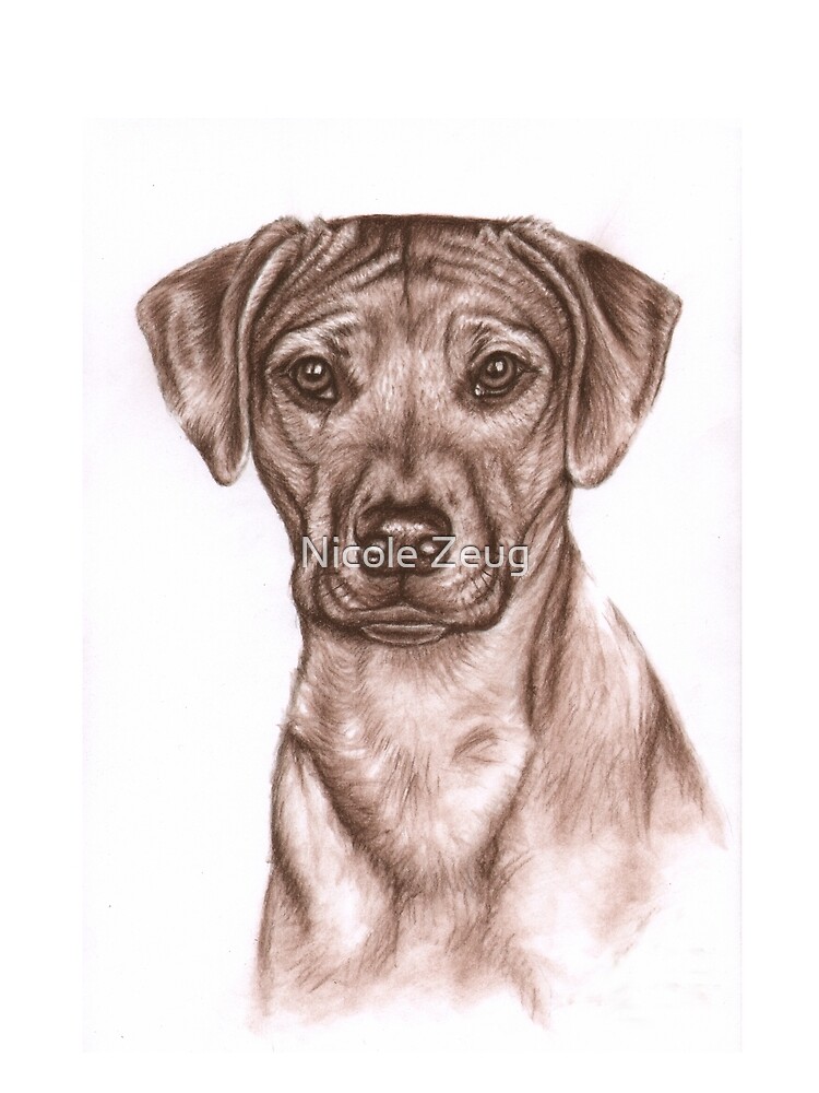 Aperçu 4 sur 4. T-shirt graphique avec l'œuvre Portrait de Rhodesian Ridgeback créée et vendue par ArtsandDogs.