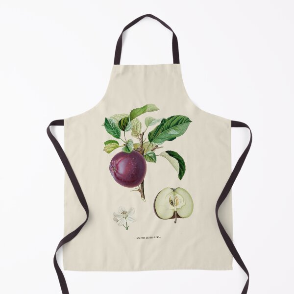 Item preview, Apple Antique Botanical Illustration designed and sold by Antiquated Art.