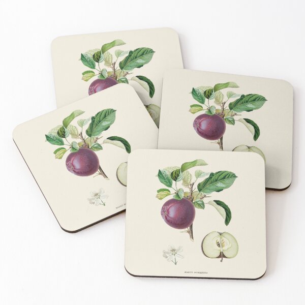 Item preview, Apple Antique Botanical Illustration designed and sold by Antiquated Art.