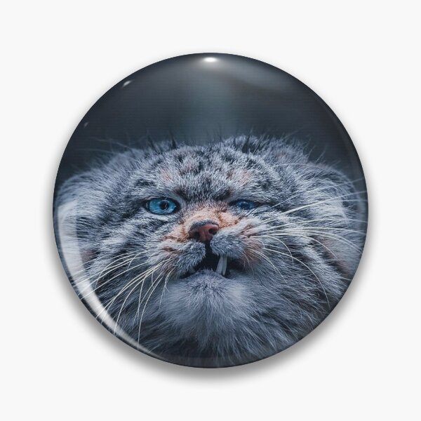 Item preview, Gato malo designed and sold by Kasper88.