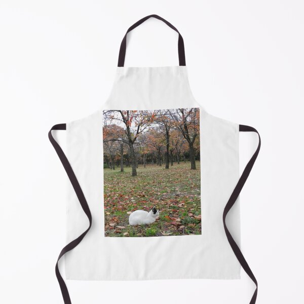 Item preview, Cat in the leaves in Japan designed and sold by jazzydevil.