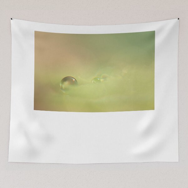 Item preview, SSK 1900 Indispensable. Color designed and sold by Sunil Kapadia.