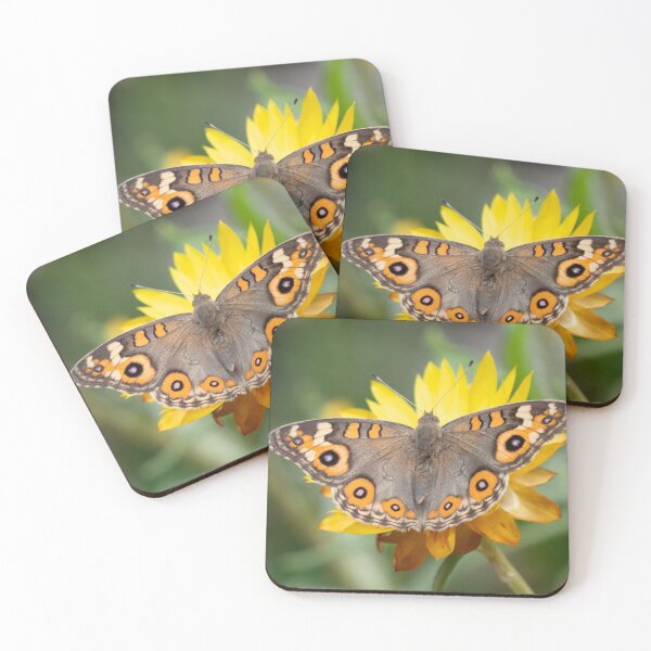 Item preview, Everlasting meadow argus designed and sold by Cornishinoz.
