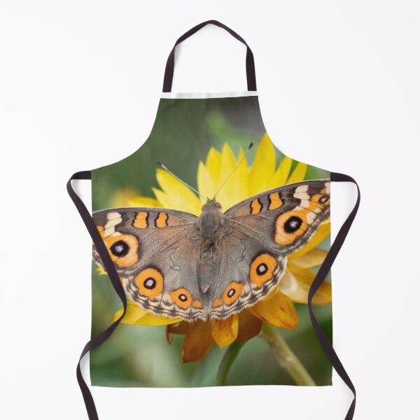 Item preview, Everlasting meadow argus designed and sold by Cornishinoz.