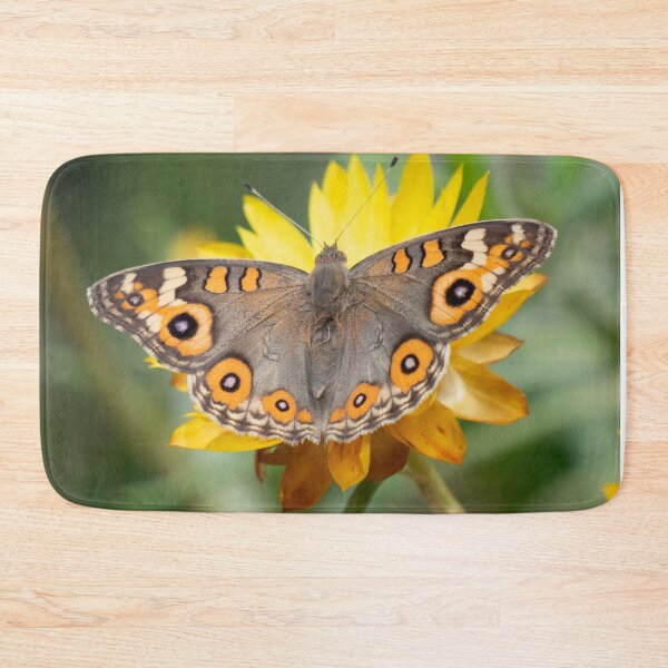 Item preview, Everlasting meadow argus designed and sold by Cornishinoz.