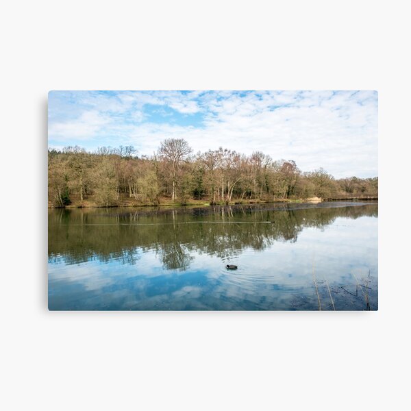 Cannop Ponds Forest of Dean Canvas Print