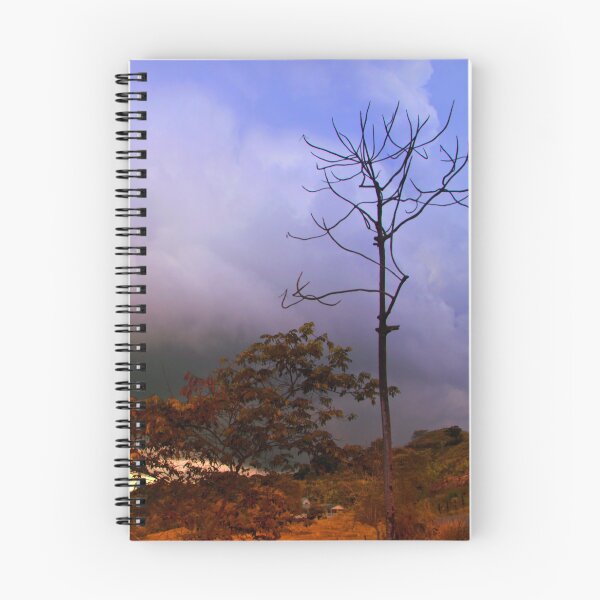 Item preview, Naked Tree At Fenicia designed and sold by alabca.