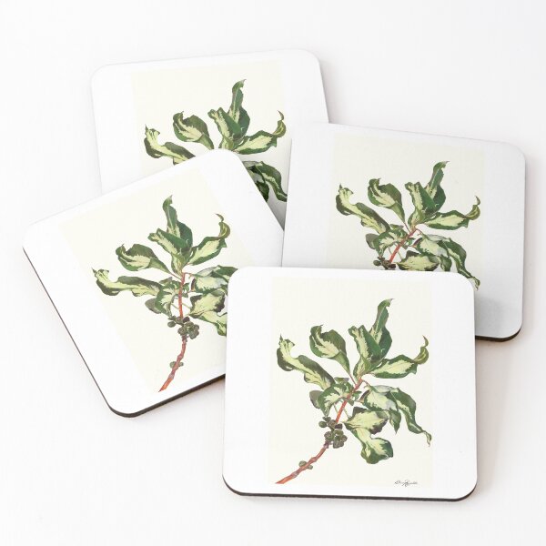 Item preview, Variegated Gum  designed and sold by Katrina Reynolds.