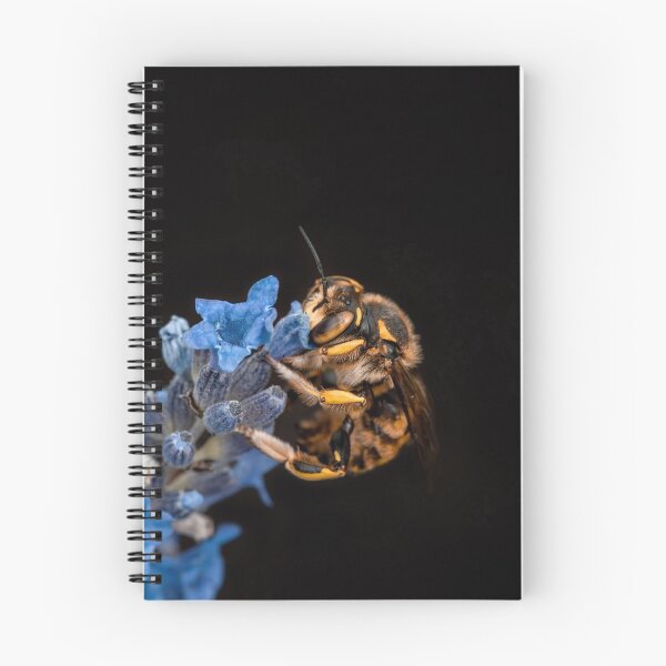 Item preview, Isolated macro of a leafcutter bee with beautiful eyes on a blue flower. Yellow tones of the bee. Pitch black background designed and sold by macroviewpoint.