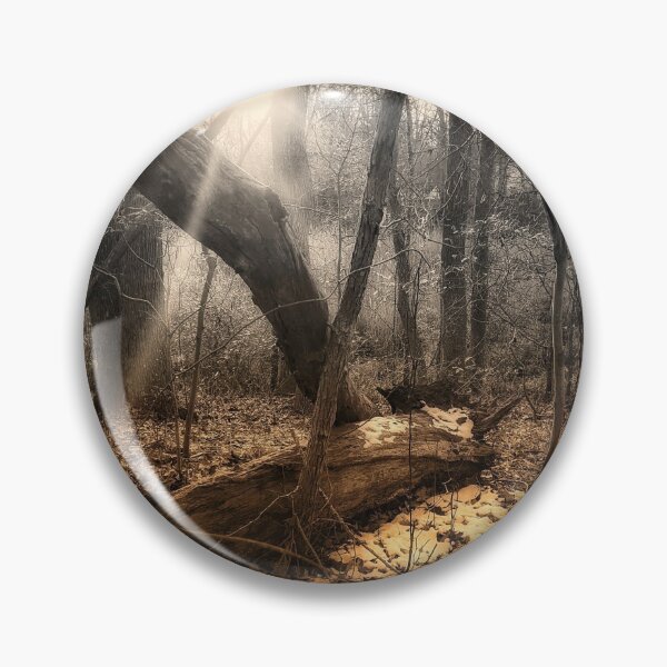Item preview, Sunlight in the Forest designed and sold by TimzPhotos.