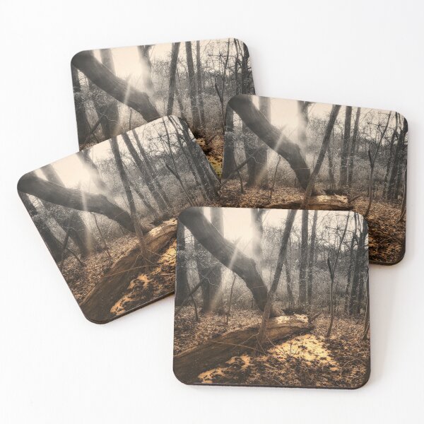 Item preview, Sunlight in the Forest designed and sold by TimzPhotos.
