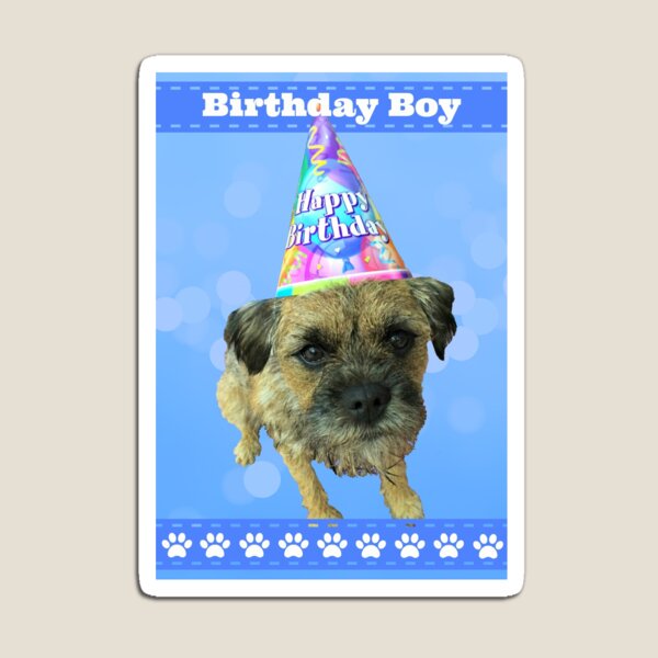 Border Terrier Birthday Boy Card Blue Magnet