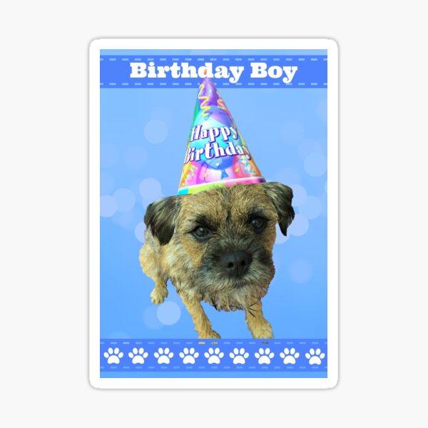 Border Terrier Birthday Boy Card Blue Sticker