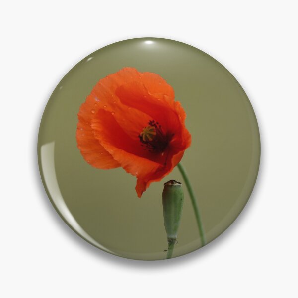 Item preview, The Single Poppy designed and sold by cjwarburton.