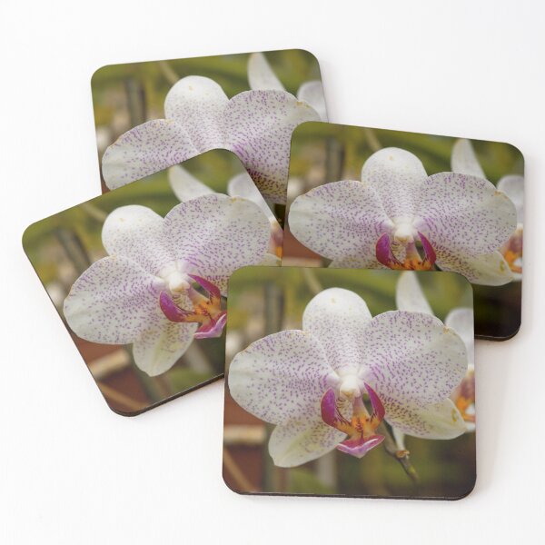 Item preview, White orchid on blurred background designed and sold by Millenn.