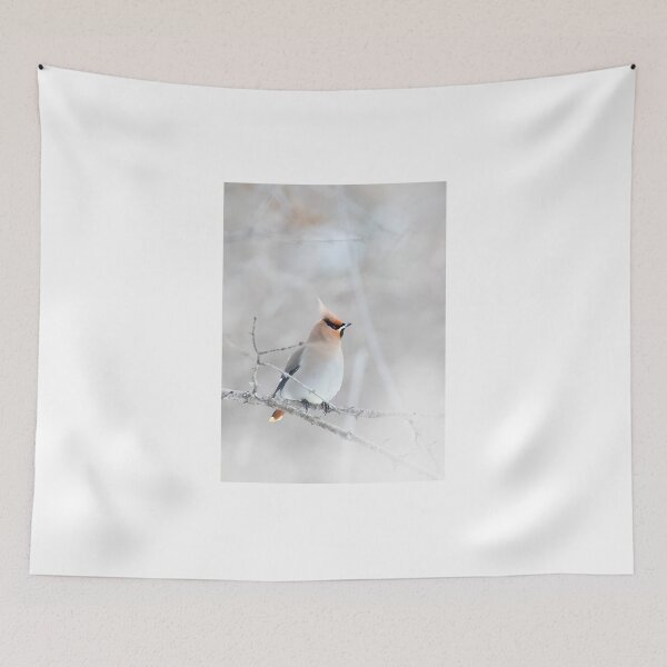 Item preview, Bohemian Waxwing designed and sold by James Cumming.