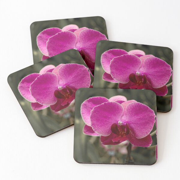 Item preview, Pink orchid on blurred background designed and sold by Millenn.