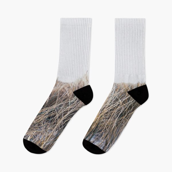 Item preview, Beach grass on a winters day designed and sold by Harry Haywood.