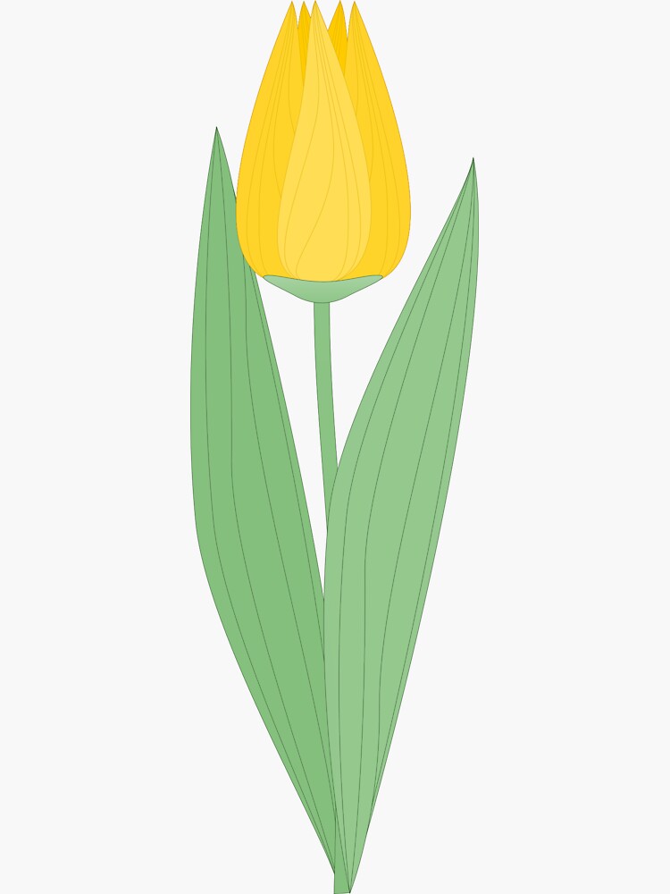 Yellow tulip by Lenka24