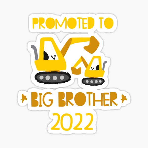 promoted big brother