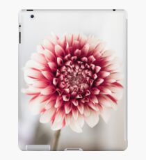 PASTELL iPad-Hülle & Skin