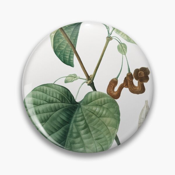 Item preview, Dutchman's Pipe Plant Poster designed and sold by redoARTstore.