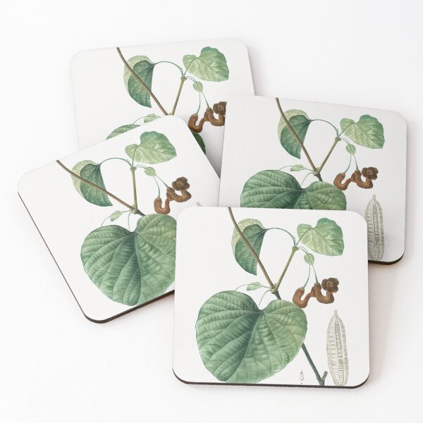 Item preview, Dutchman's Pipe Plant Poster designed and sold by redoARTstore.