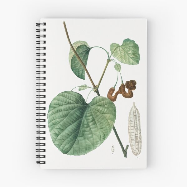 Item preview, Dutchman's Pipe Plant Poster designed and sold by redoARTstore.