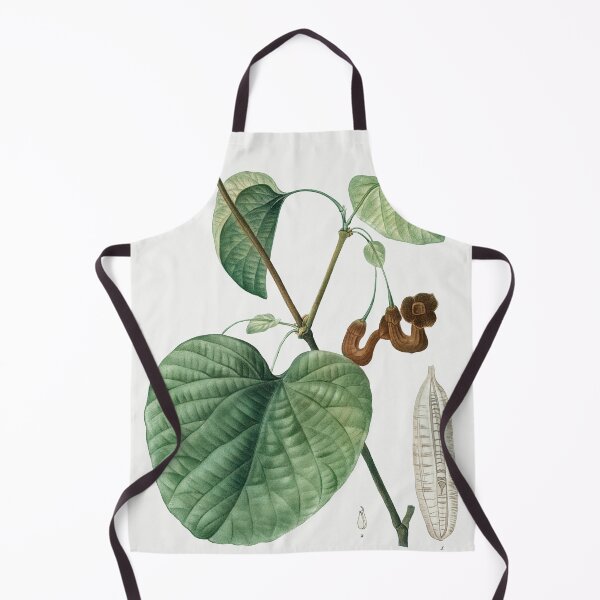 Item preview, Dutchman's Pipe Plant Poster designed and sold by redoARTstore.