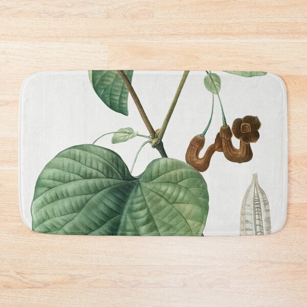 Item preview, Dutchman's Pipe Plant Poster designed and sold by redoARTstore.