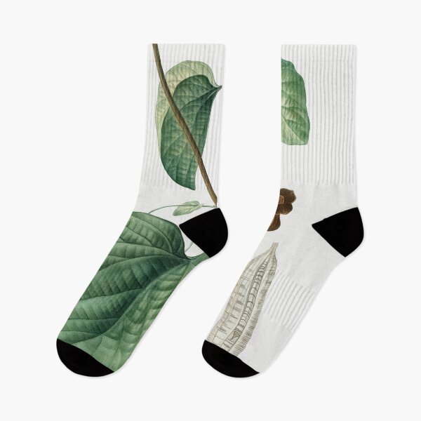 Item preview, Dutchman's Pipe Plant Poster designed and sold by redoARTstore.