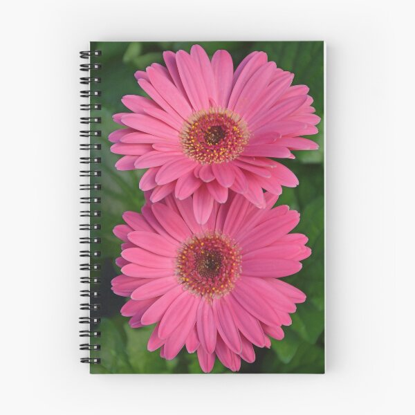 Item preview, Pink spring gerbers designed and sold by perlphoto.