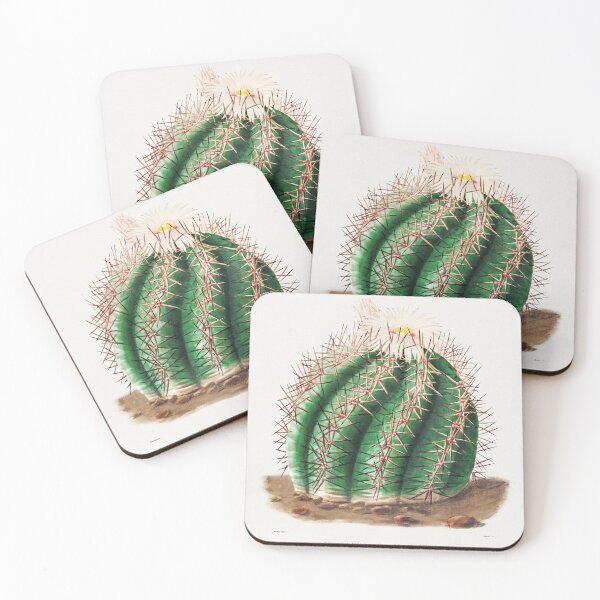 Item preview, Turk's Head Cactus Poster designed and sold by redoARTstore.