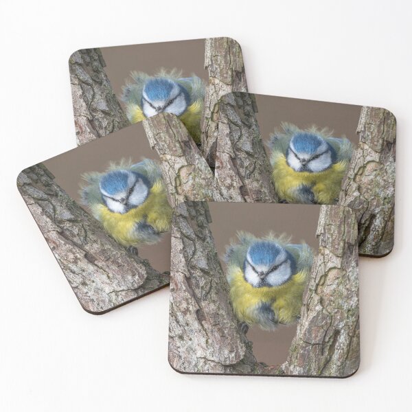 Item preview, Blue tit designed and sold by Steve Liptrot Photography.